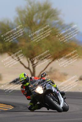 media/Nov-05-2022-SoCal Trackdays (Sat) [[f8d9b725ab]]/Turn 4 Tree of Life (125pm)/